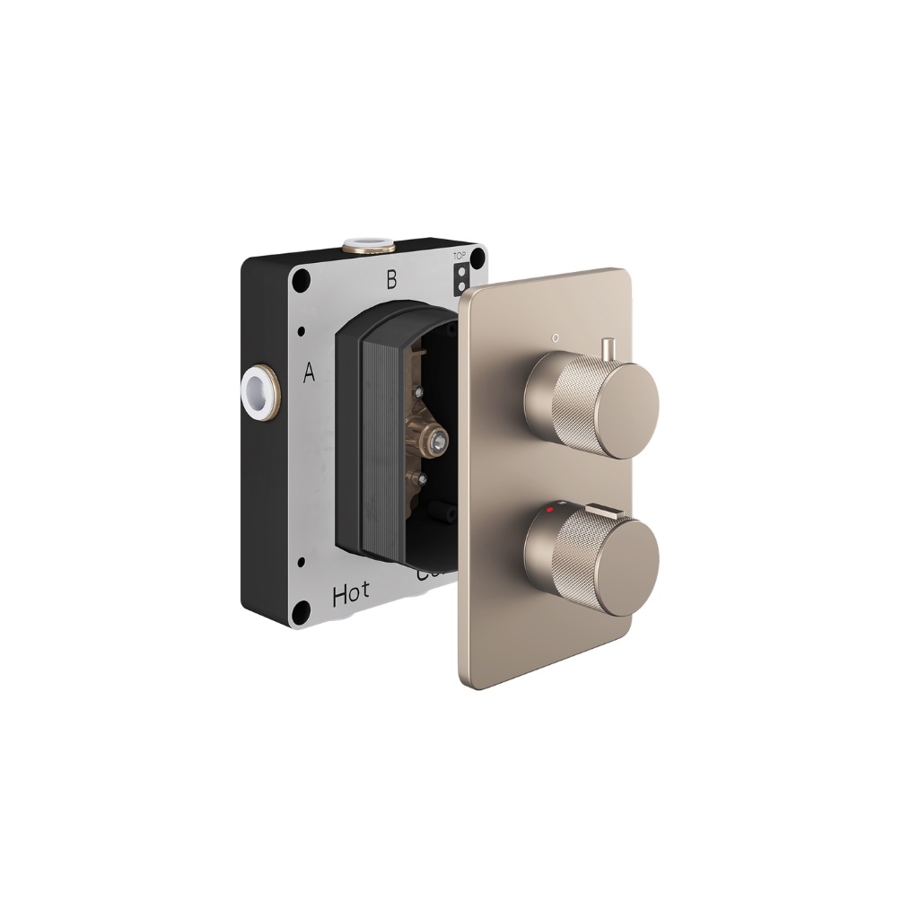 Product Cut out image of the Abacus Iso Pro Brushed Nickel 2 Outlet 2 Handle Thermostatic Shower Valve